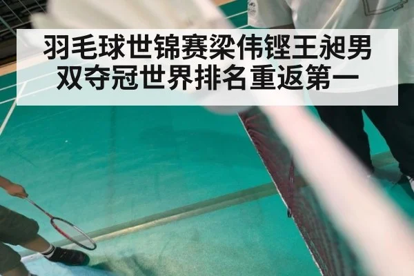 羽毛球世锦赛梁伟铿王昶男双夺冠世界排名重返第一
